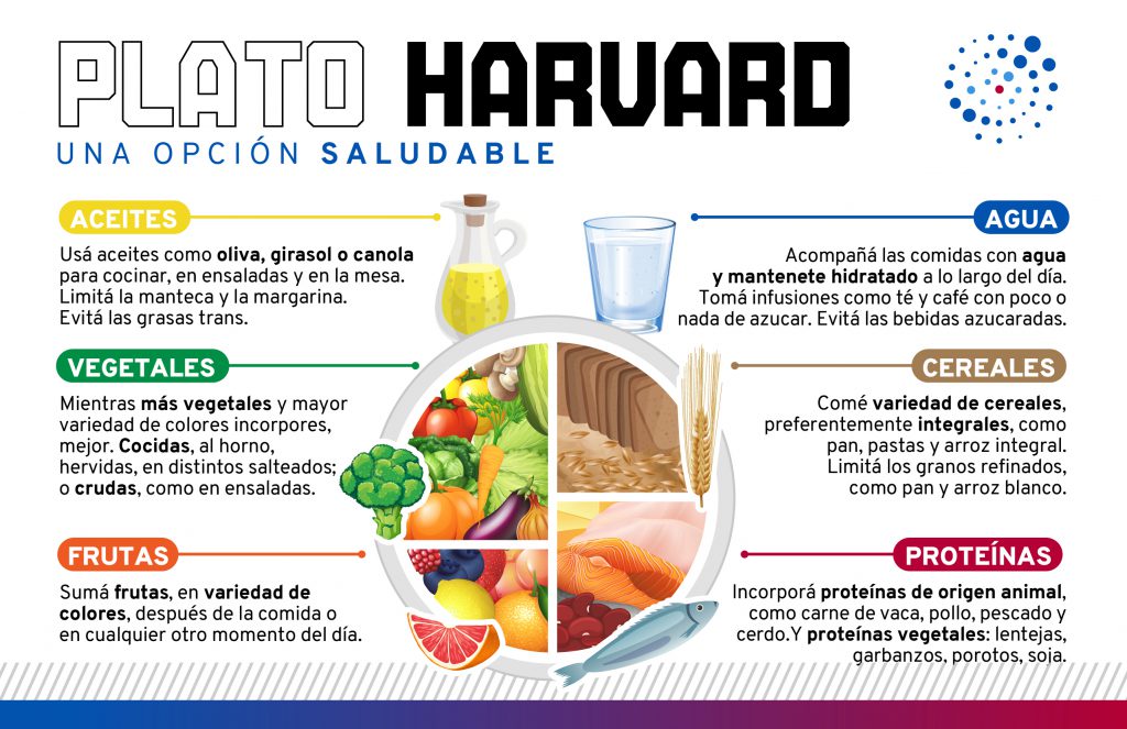 Plato de Harvard: ¿Qué es y cómo mejora mi alimentación?